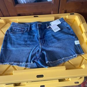 Ana 3.5" High Rise Raw Hem Denim Short